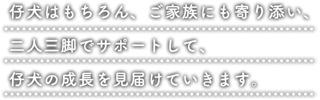 仔犬はもちろん、ご家族にも寄り添い、二人三脚サポートして、仔犬の成長を見届けていきます。