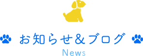 お知らせ＆ブログ　News